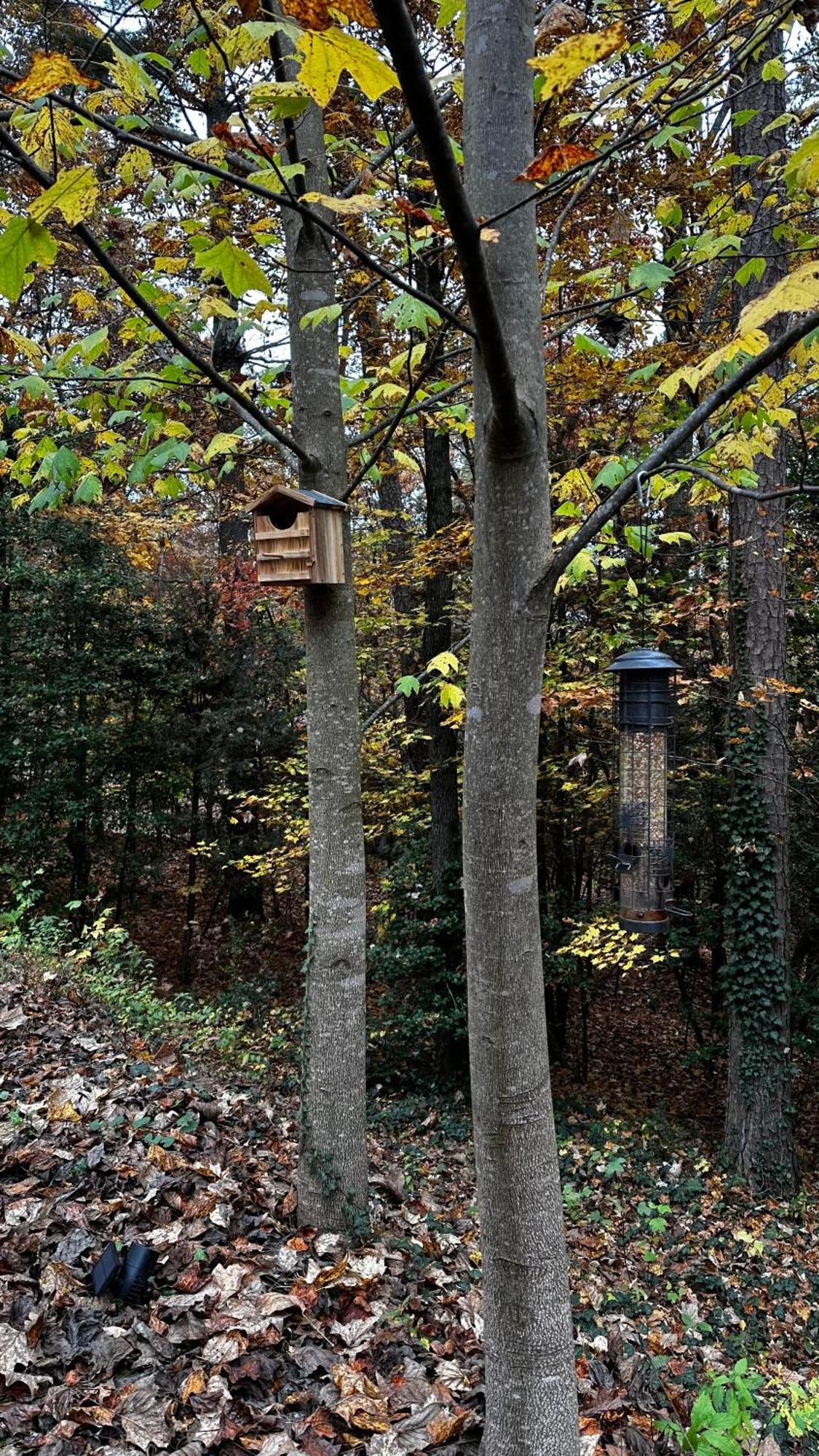 Appalachian Mountain Cabin-Updated-Private-Rafting On Ocoee River-Hiking-Waterfalls-Wifi-Pets Ok Murphy Exteriér fotografie