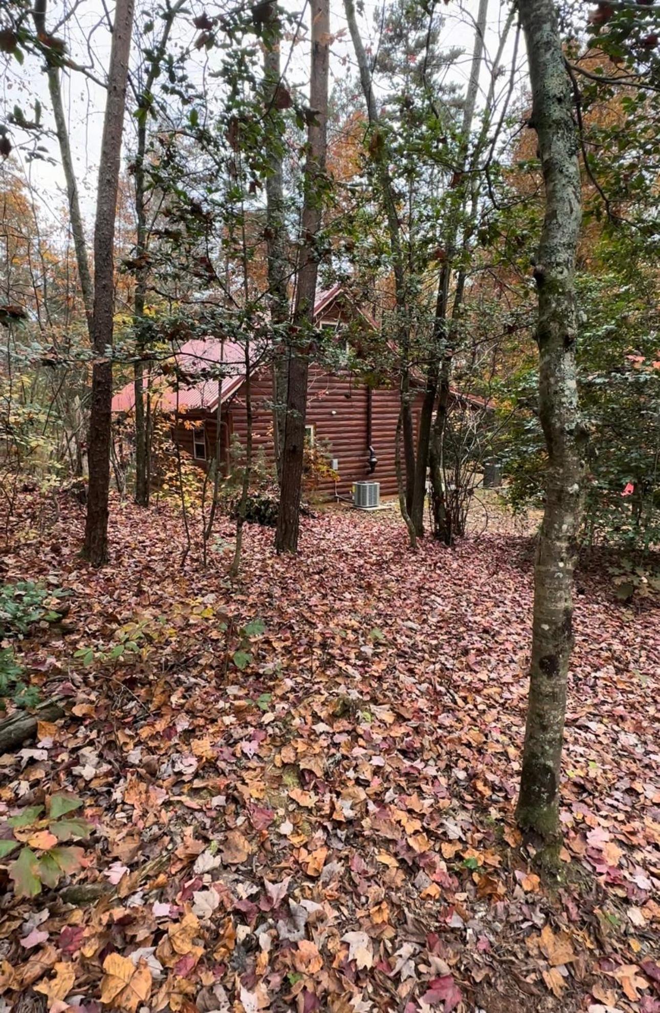Appalachian Mountain Cabin-Updated-Private-Rafting On Ocoee River-Hiking-Waterfalls-Wifi-Pets Ok Murphy Exteriér fotografie