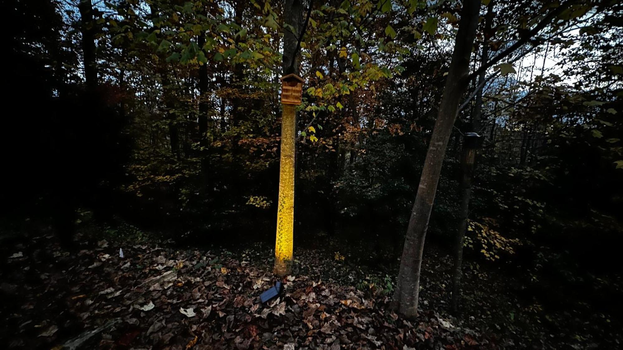 Appalachian Mountain Cabin-Updated-Private-Rafting On Ocoee River-Hiking-Waterfalls-Wifi-Pets Ok Murphy Exteriér fotografie