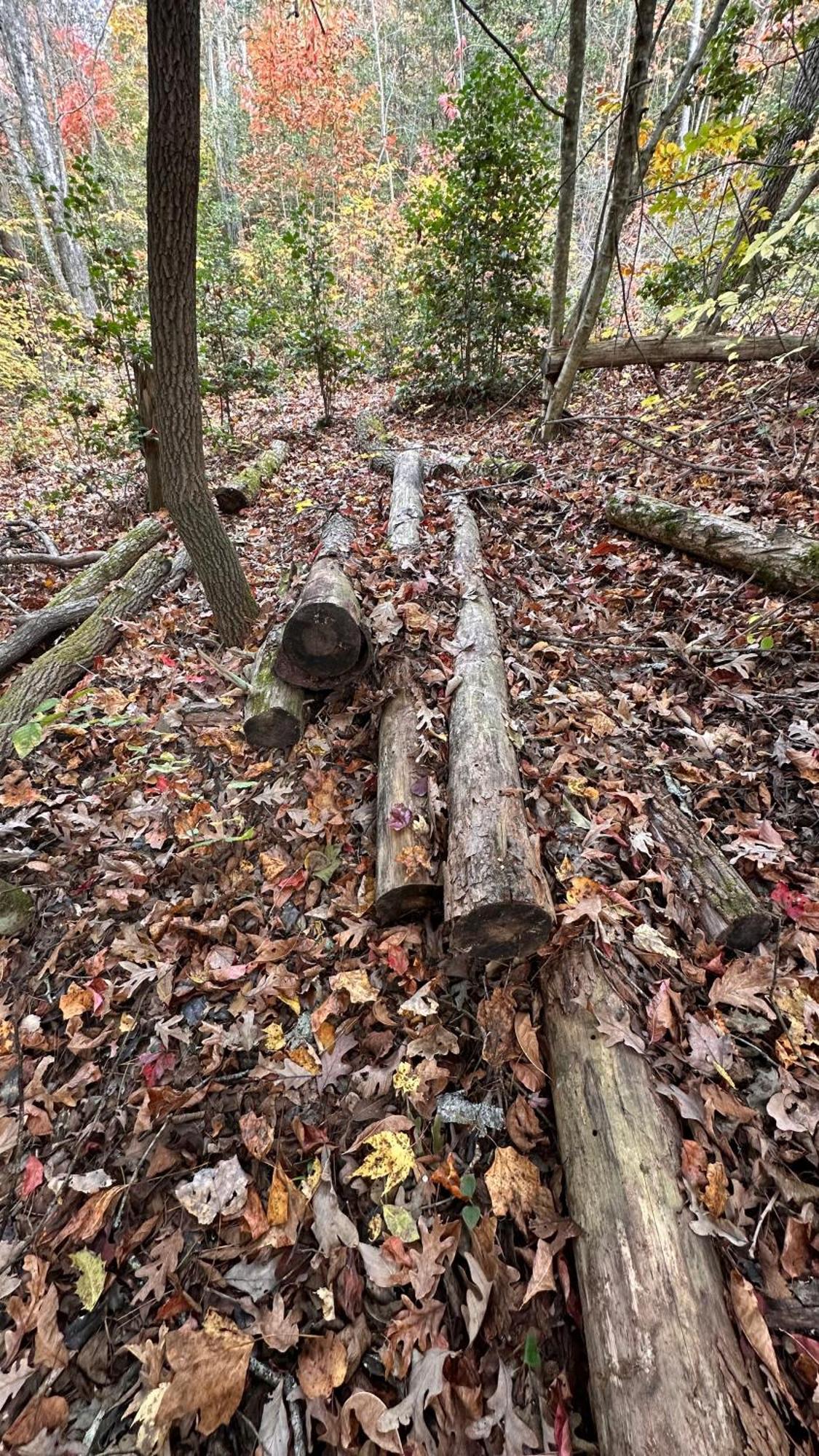 Appalachian Mountain Cabin-Updated-Private-Rafting On Ocoee River-Hiking-Waterfalls-Wifi-Pets Ok Murphy Exteriér fotografie