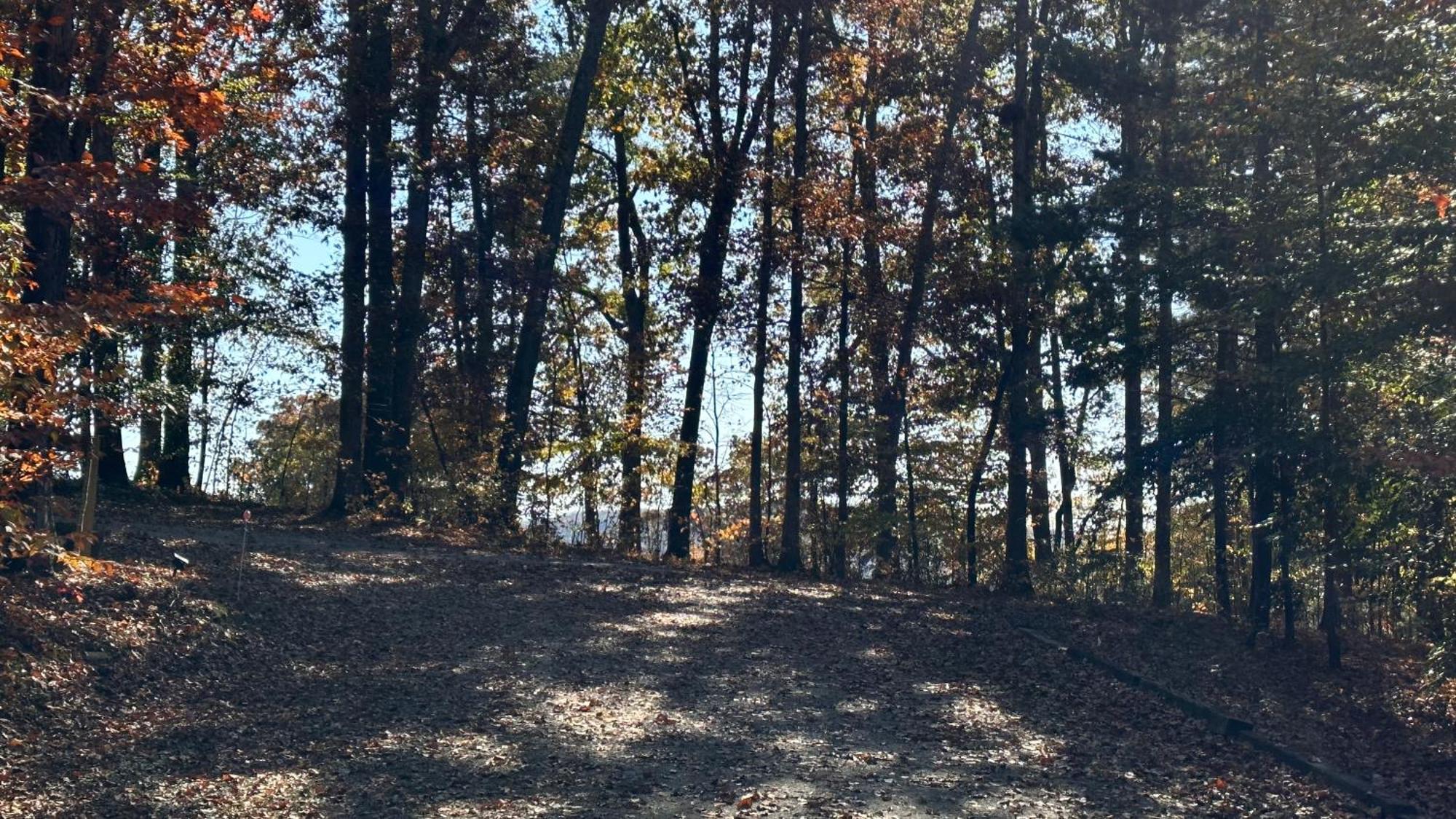 Appalachian Mountain Cabin-Updated-Private-Rafting On Ocoee River-Hiking-Waterfalls-Wifi-Pets Ok Murphy Exteriér fotografie