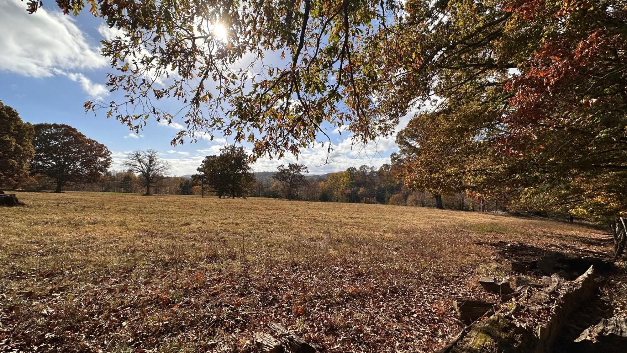 Appalachian Mountain Cabin-Updated-Private-Rafting On Ocoee River-Hiking-Waterfalls-Wifi-Pets Ok Murphy Exteriér fotografie