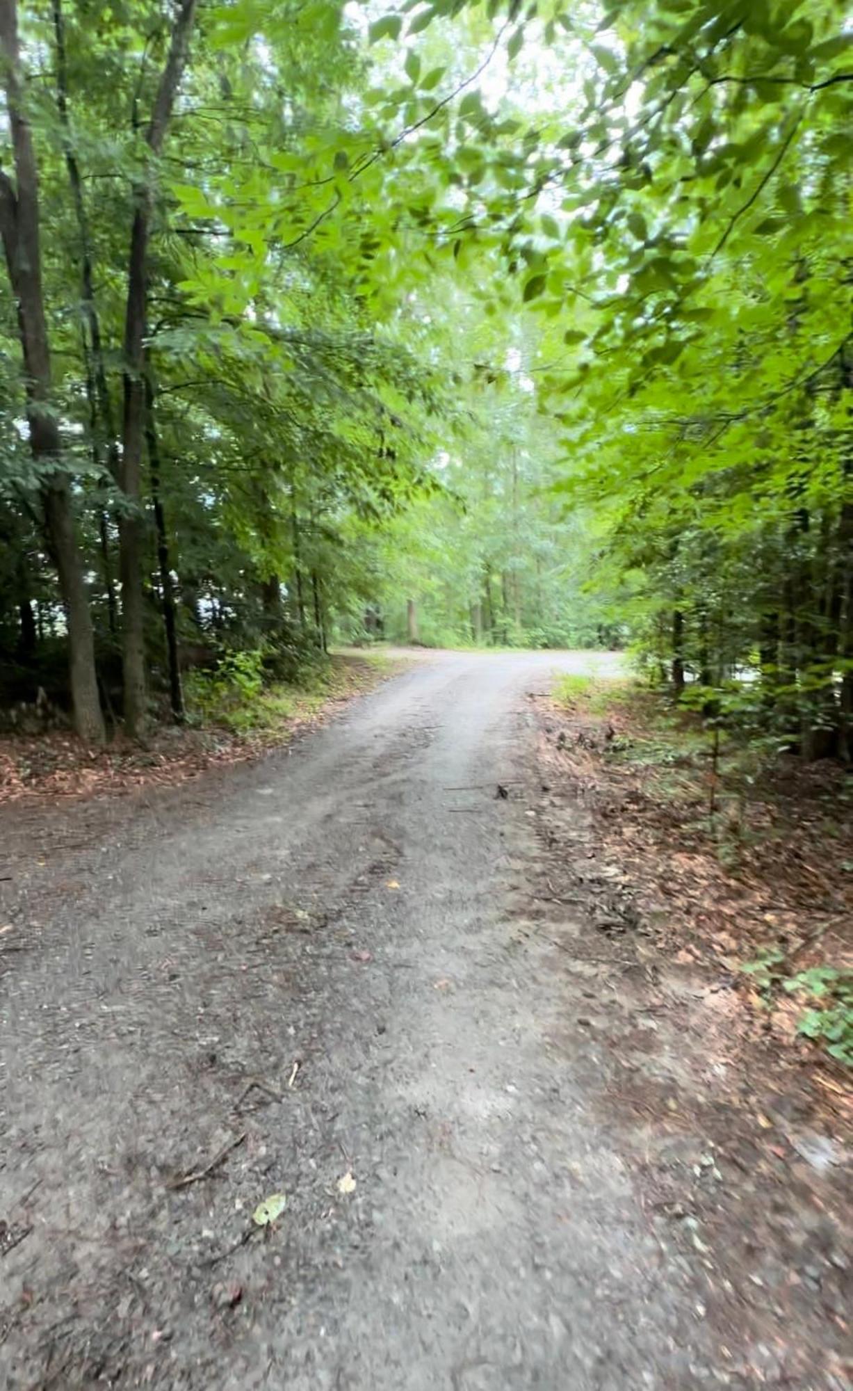 Appalachian Mountain Cabin-Updated-Private-Rafting On Ocoee River-Hiking-Waterfalls-Wifi-Pets Ok Murphy Exteriér fotografie
