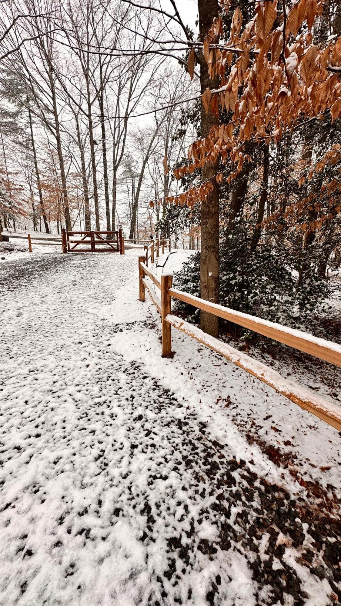 Appalachian Mountain Cabin-Updated-Private-Rafting On Ocoee River-Hiking-Waterfalls-Wifi-Pets Ok Murphy Exteriér fotografie